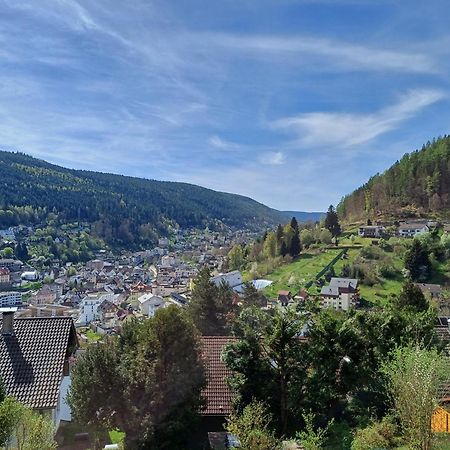 Ferienwohnung Panoramablick Бад-Вильдбад Экстерьер фото