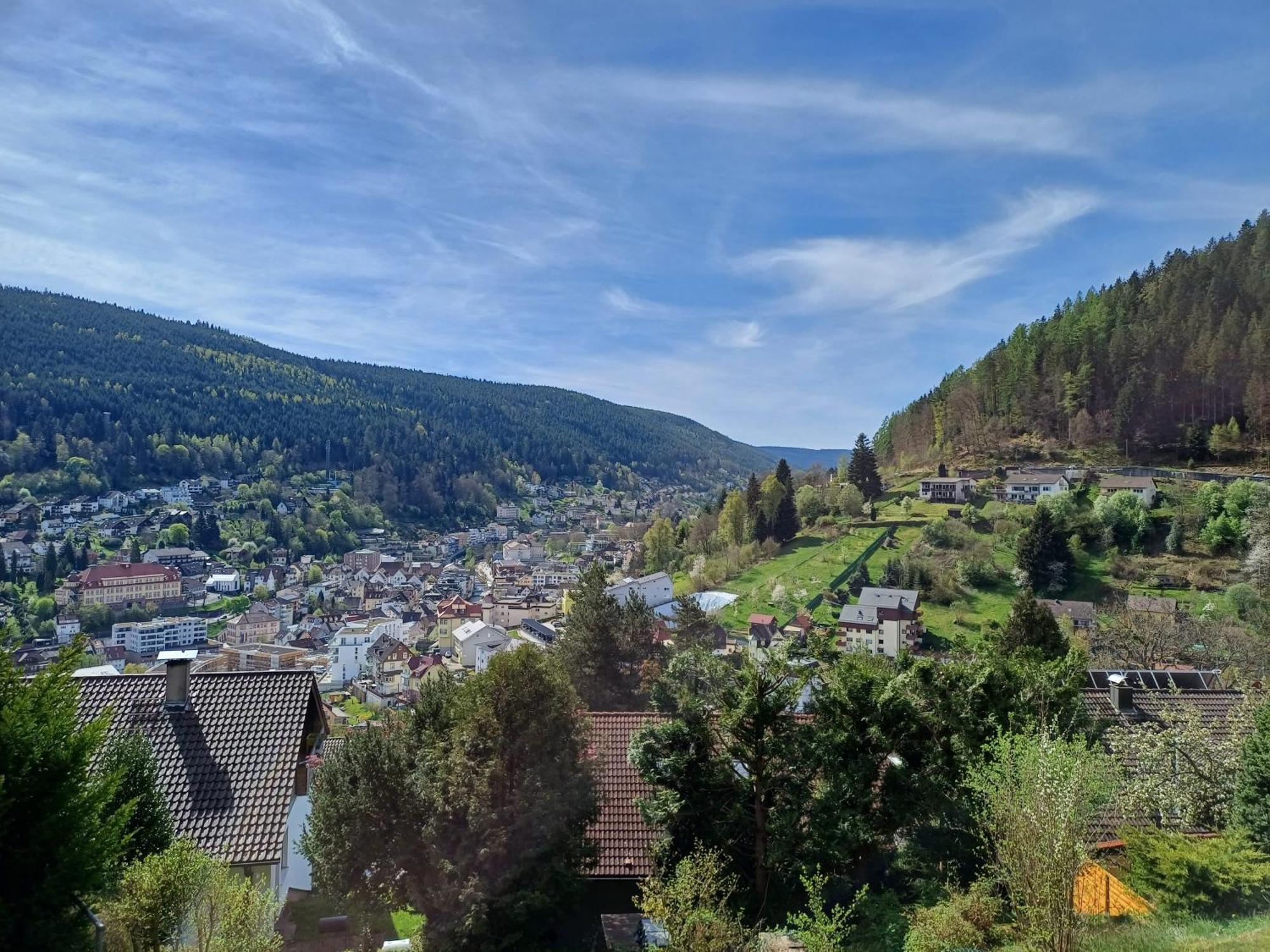 Ferienwohnung Panoramablick Бад-Вильдбад Экстерьер фото