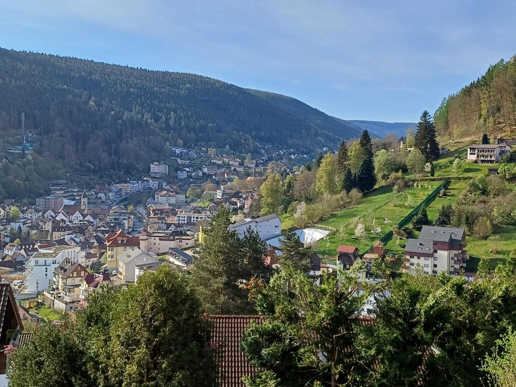 Ferienwohnung Panoramablick Бад-Вильдбад Экстерьер фото